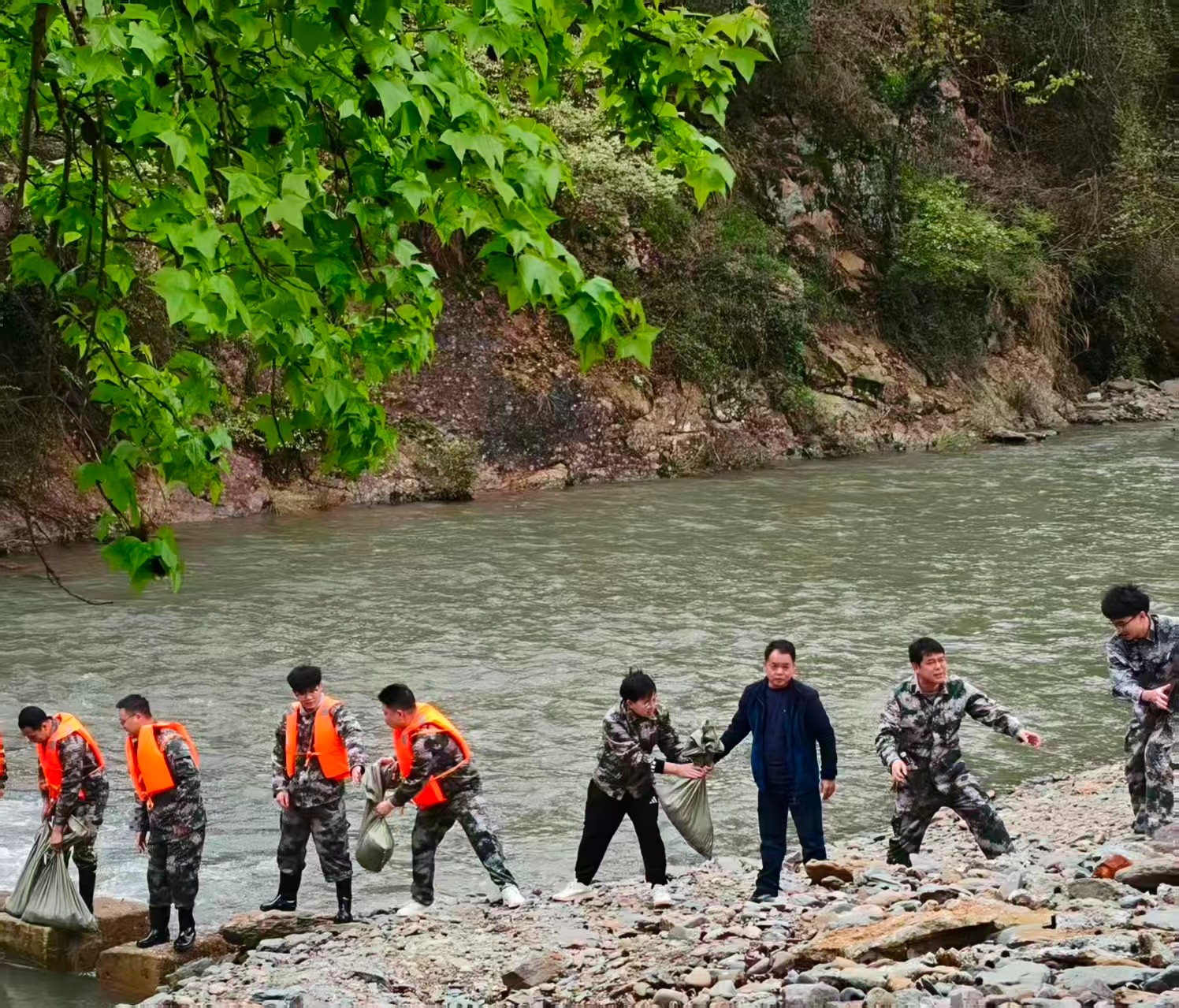 CCF75E96@97762862.B81DCF6900000000.jpg CCF75E96@97762862.B81DCF6900000000.jpg