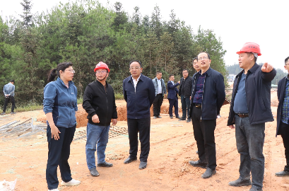 易勇,兰利华等带队调研我县畜牧产业