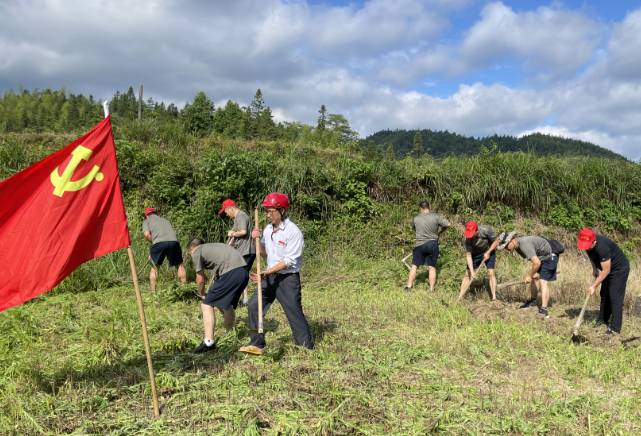 【我为群众办实事】会同县退役军人事务局：汗水挥洒田间地头