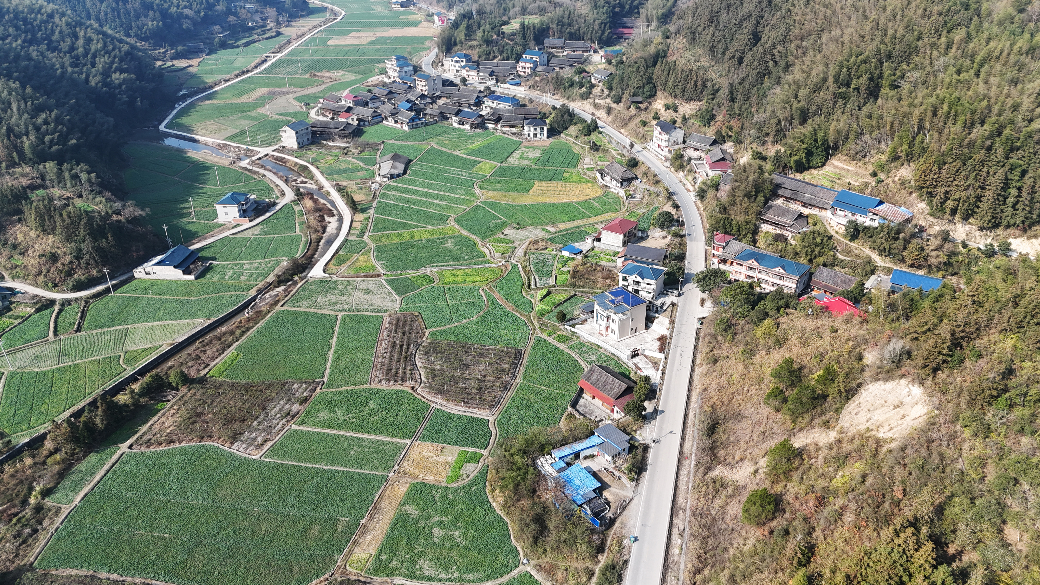 DJI_20251218111205_0191_D 拷贝.jpg