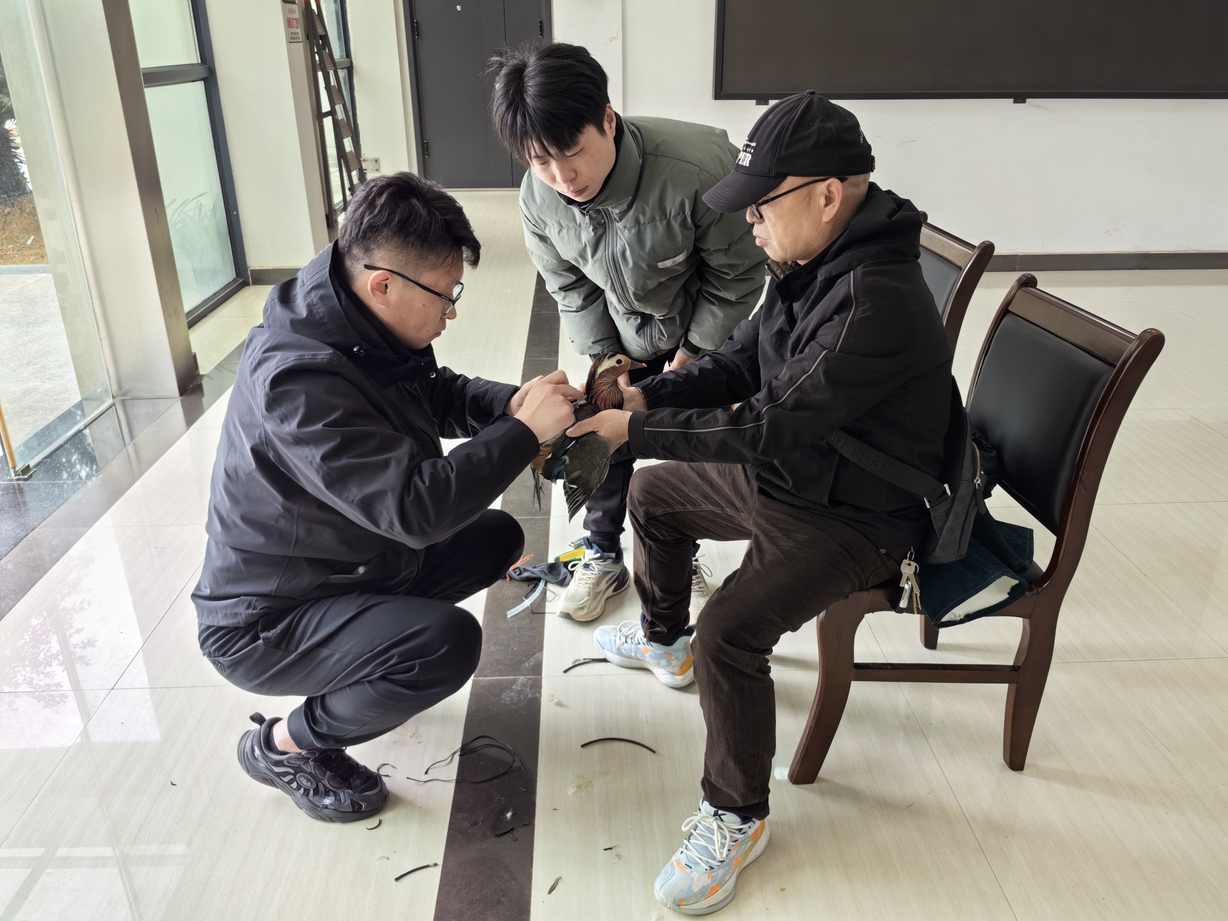 微信图片_20250318165926.jpg