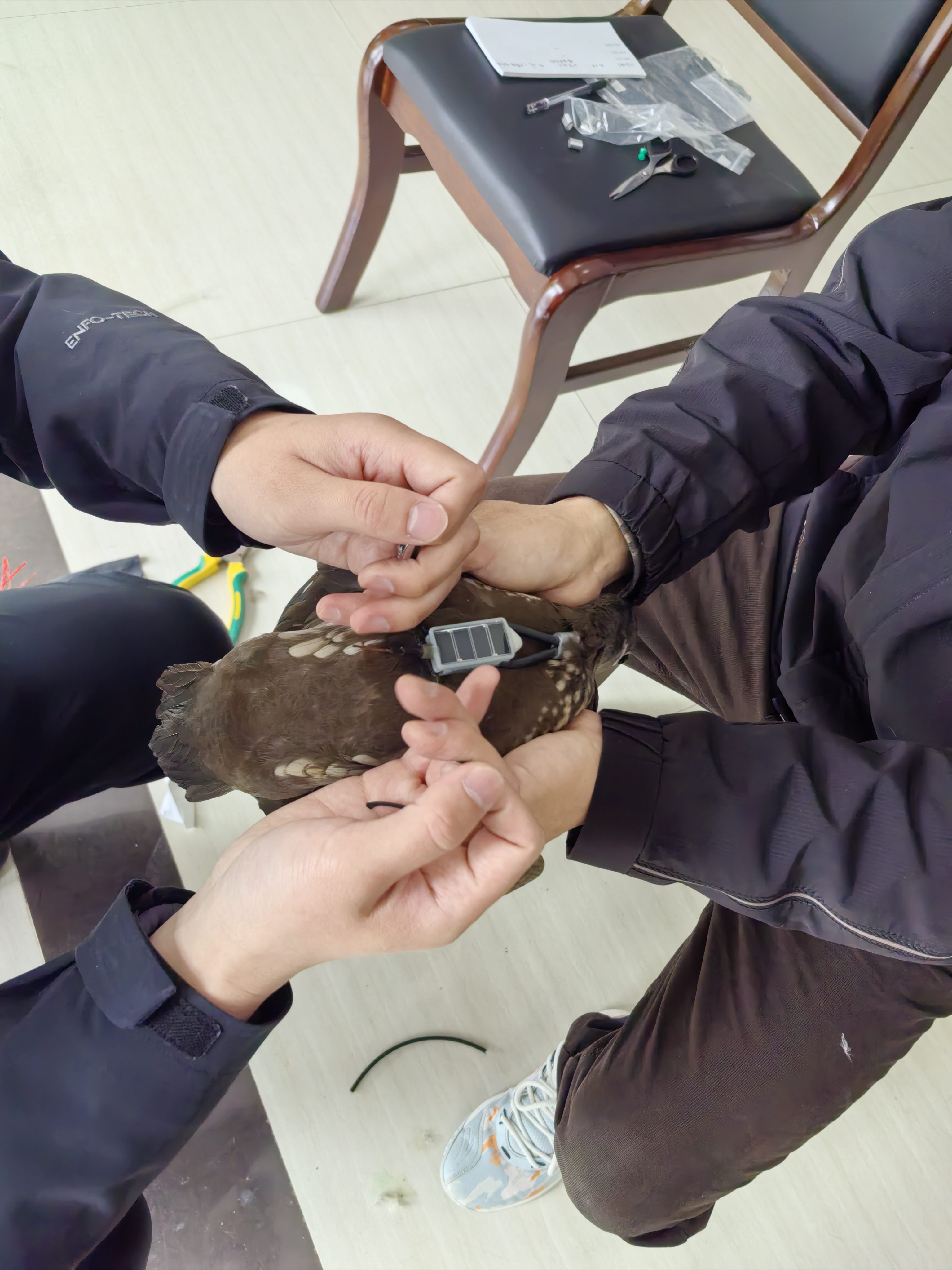微信图片_20250318165921.jpg