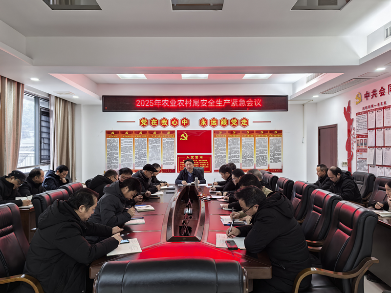 图片2_副本.png