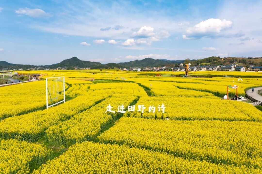 a3e0019324429552150c240772275fd6964219051758437817786.jpeg a3e0019324429552150c240772275fd6964219051758437817786.jpeg