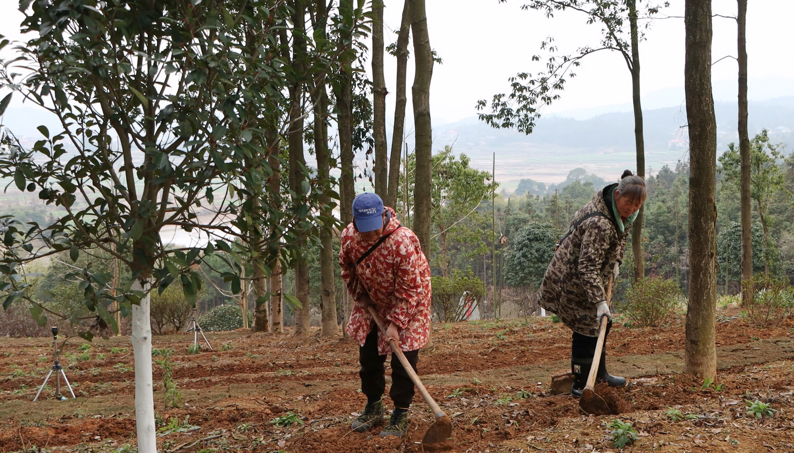 MVI_4439.MP4_20260129_093131.882 拷贝.jpg