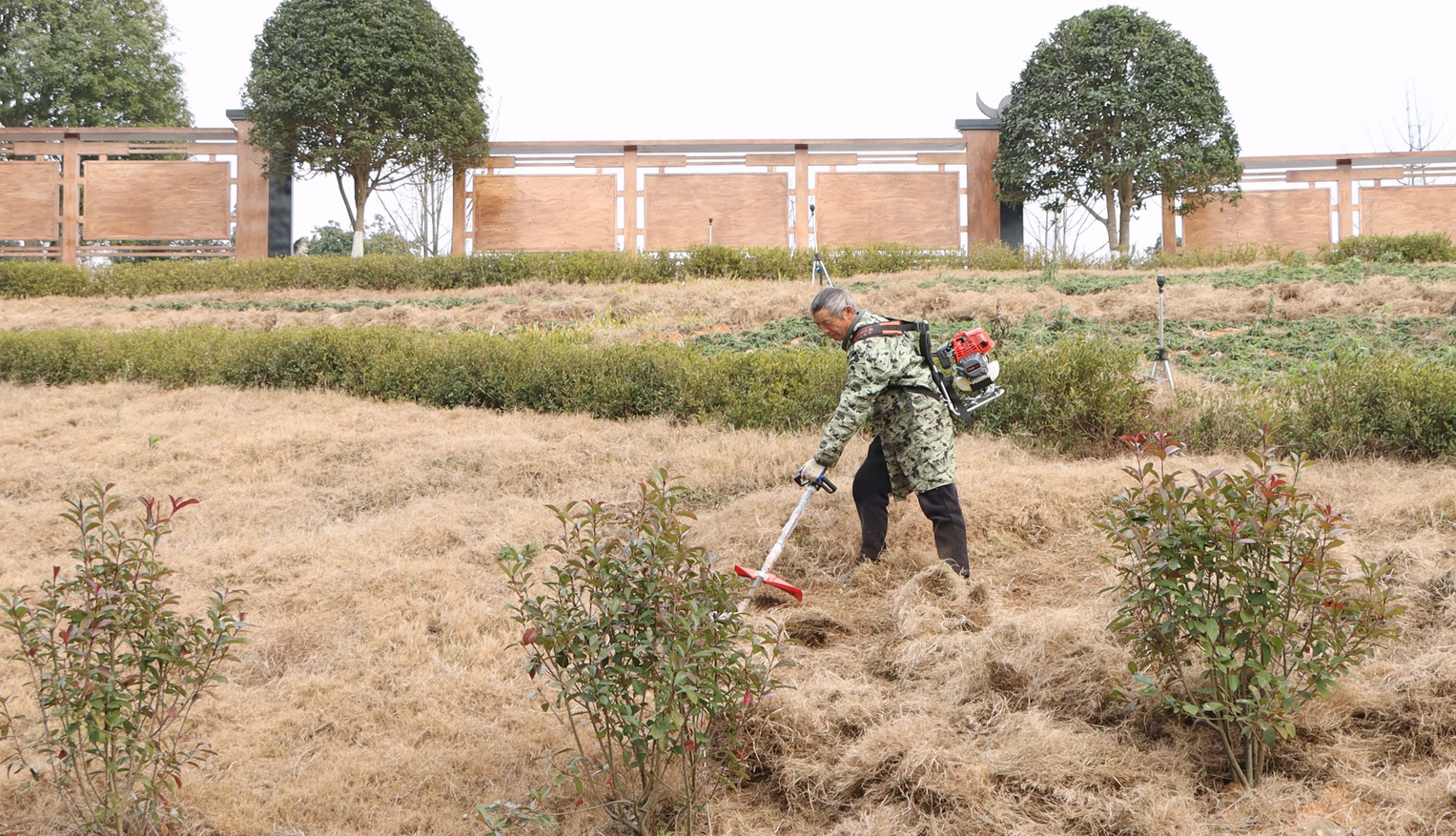 MVI_4460.MP4_20260129_144436.036 拷贝.jpg