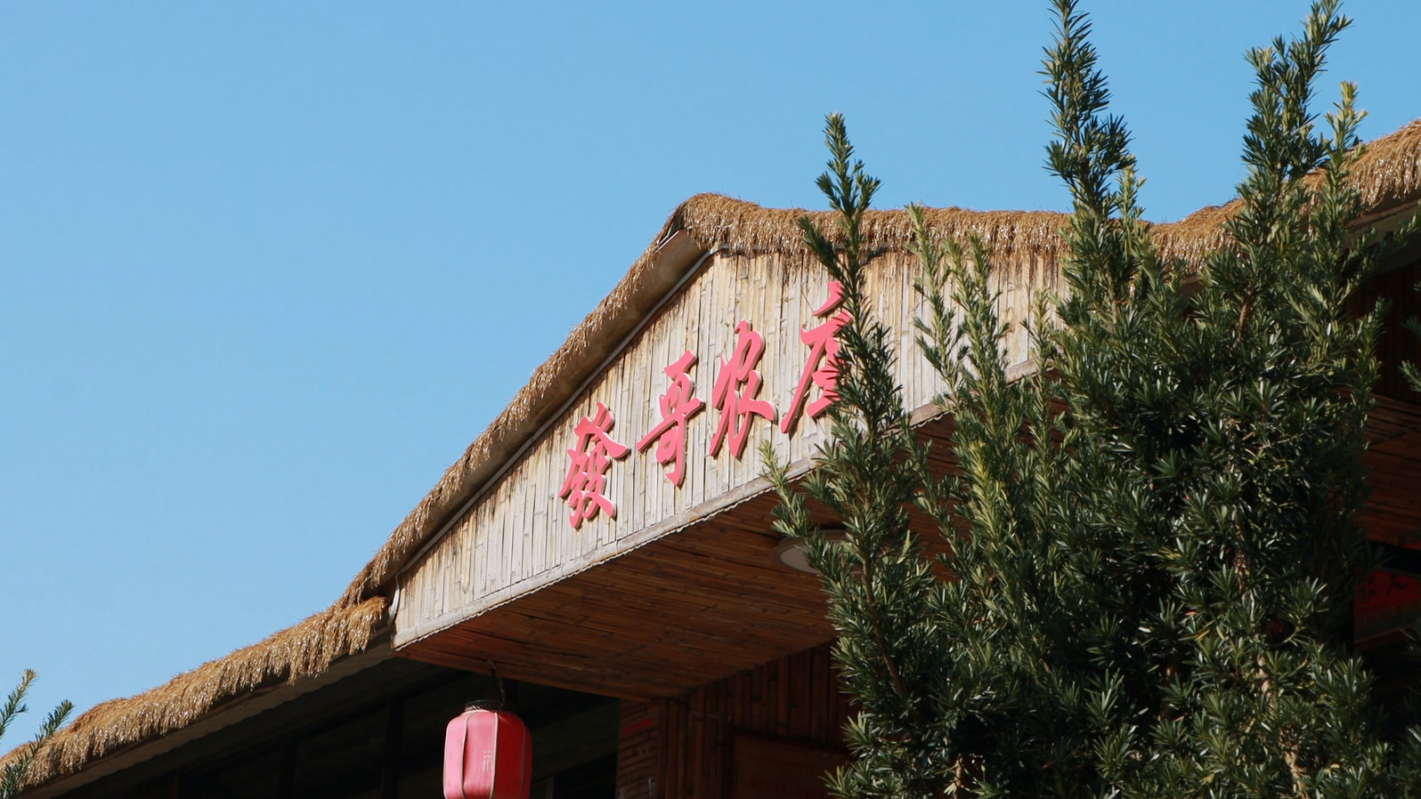 MVI_3687.MP4_20260108_155324.034 拷贝.jpg MVI_3687.MP4_20260108_155324.034 拷贝.jpg