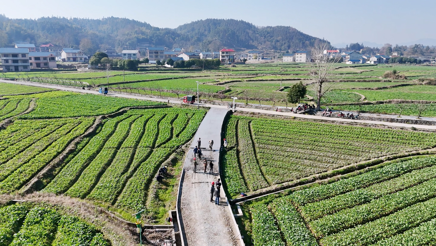 DJI_20260108110328_0024_D.MP4_20260108_160233.154 拷贝.jpg DJI_20260108110328_0024_D.MP4_20260108_160233.154 拷贝.jpg