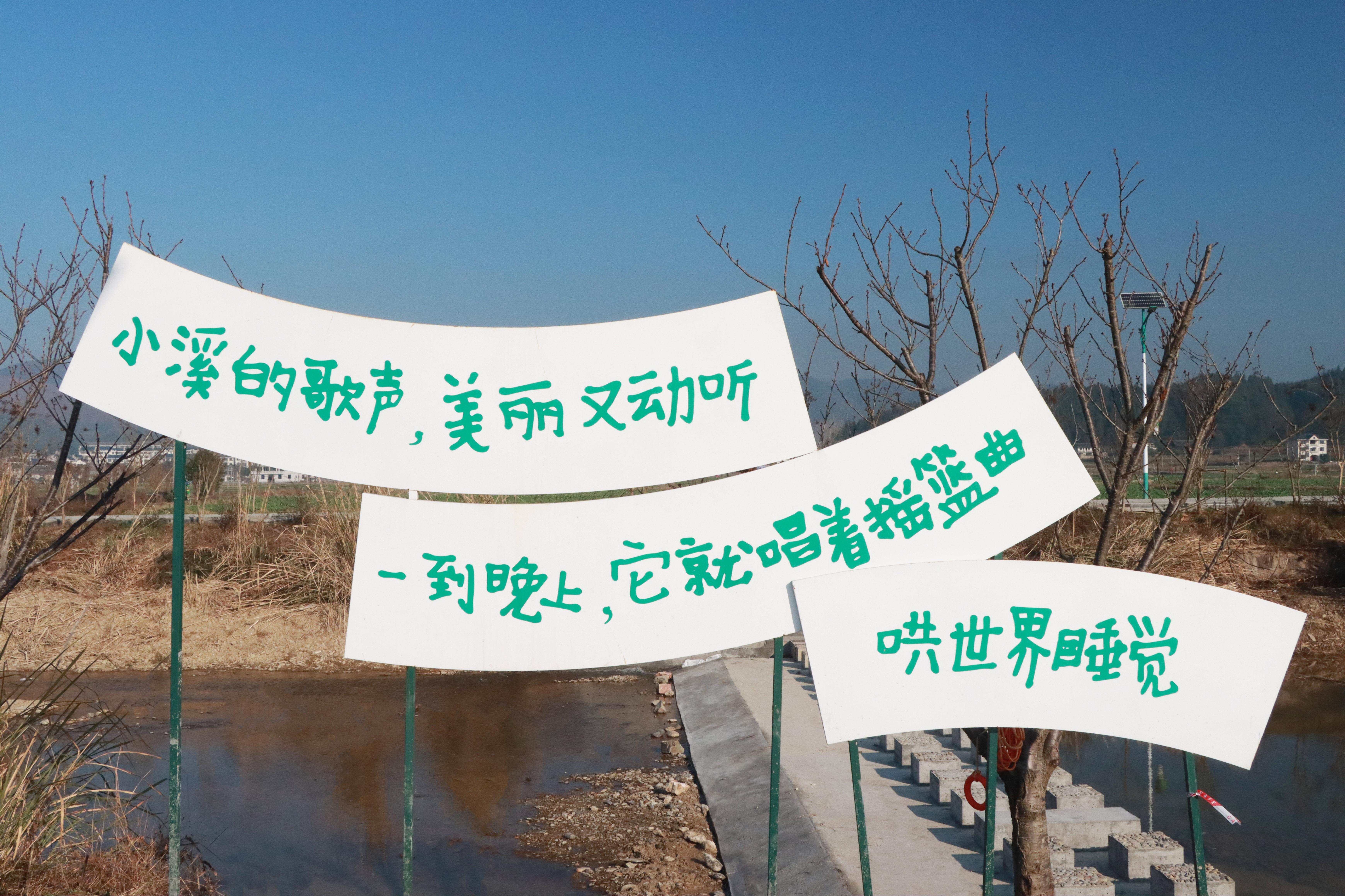 IMG_3583 拷贝.jpg IMG_3583 拷贝.jpg