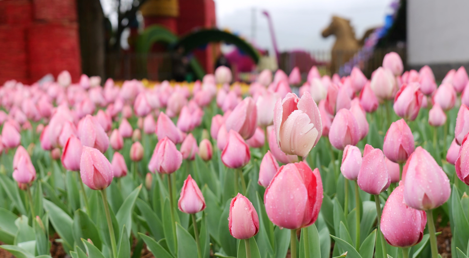 P1054552.MOV_20260308_135109.508 拷贝.jpg