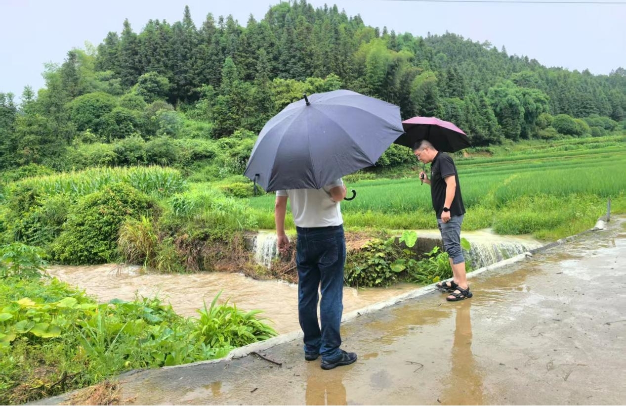 图片2.jpg 图片2.jpg