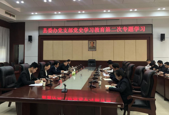 县委办开展党史学习教育第二次专题学习