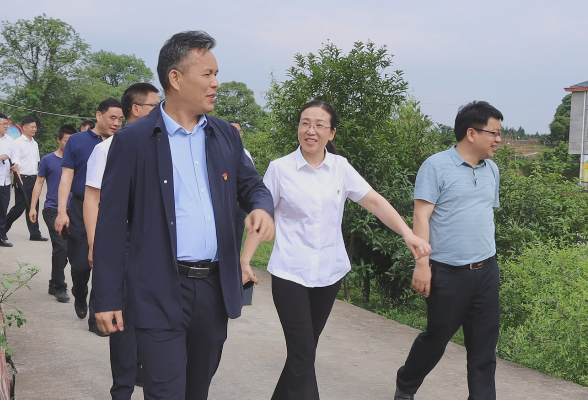 县政府党组开展党史学习教育第二次专题学习