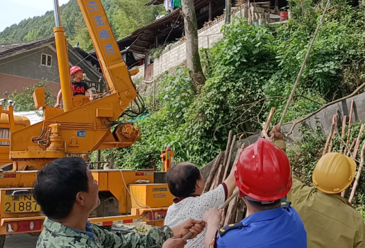 县城管执法局：为民办实事  清除隐患树