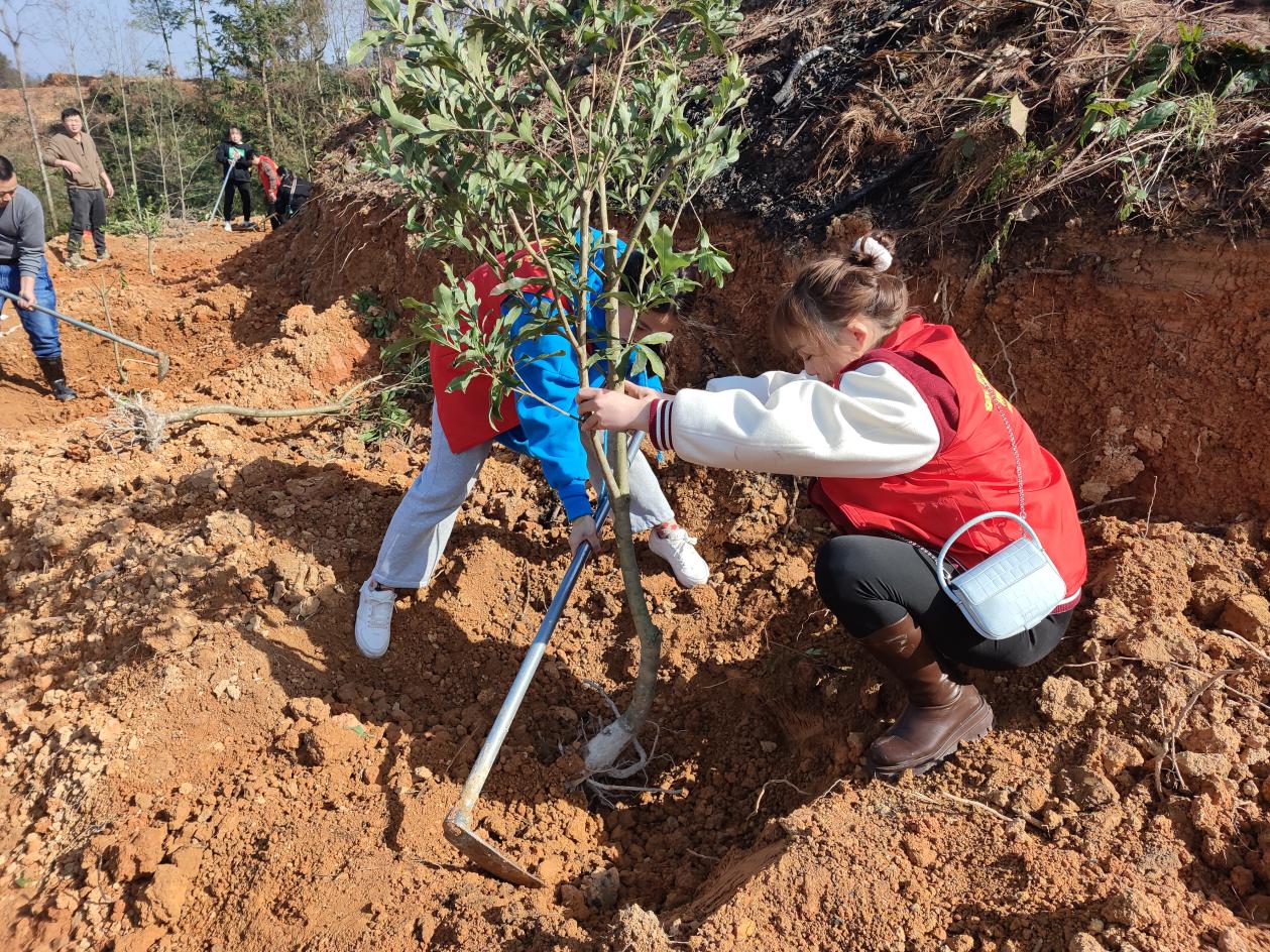 proxy.do2.jpg proxy.do2.jpg