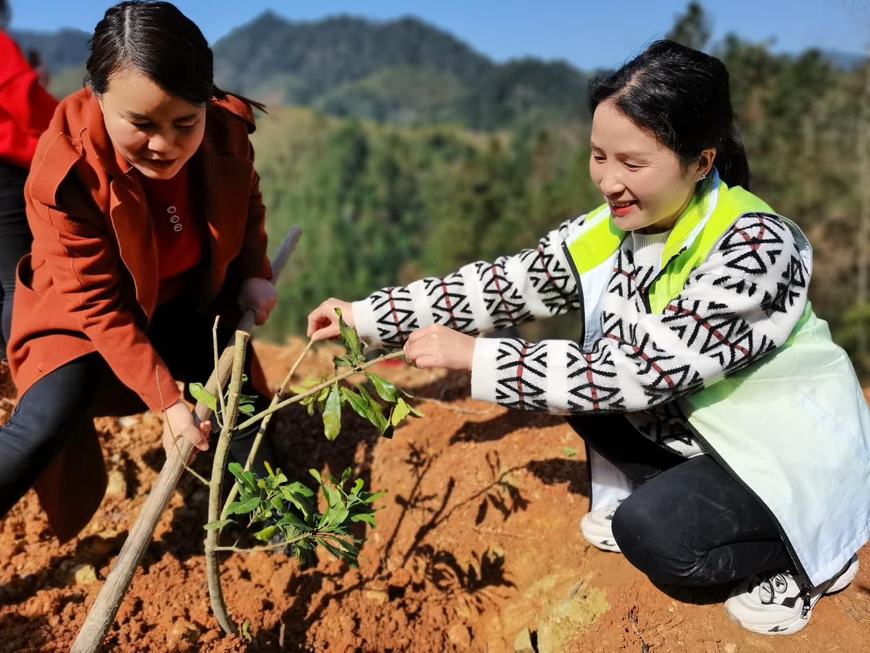 proxy.do.jpg proxy.do.jpg