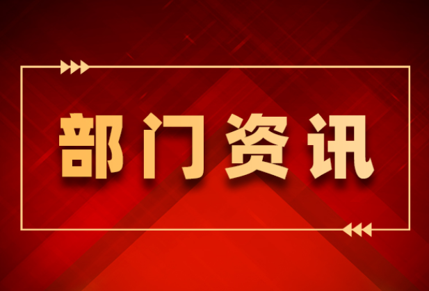 十三届县委第九轮巡察反馈完成