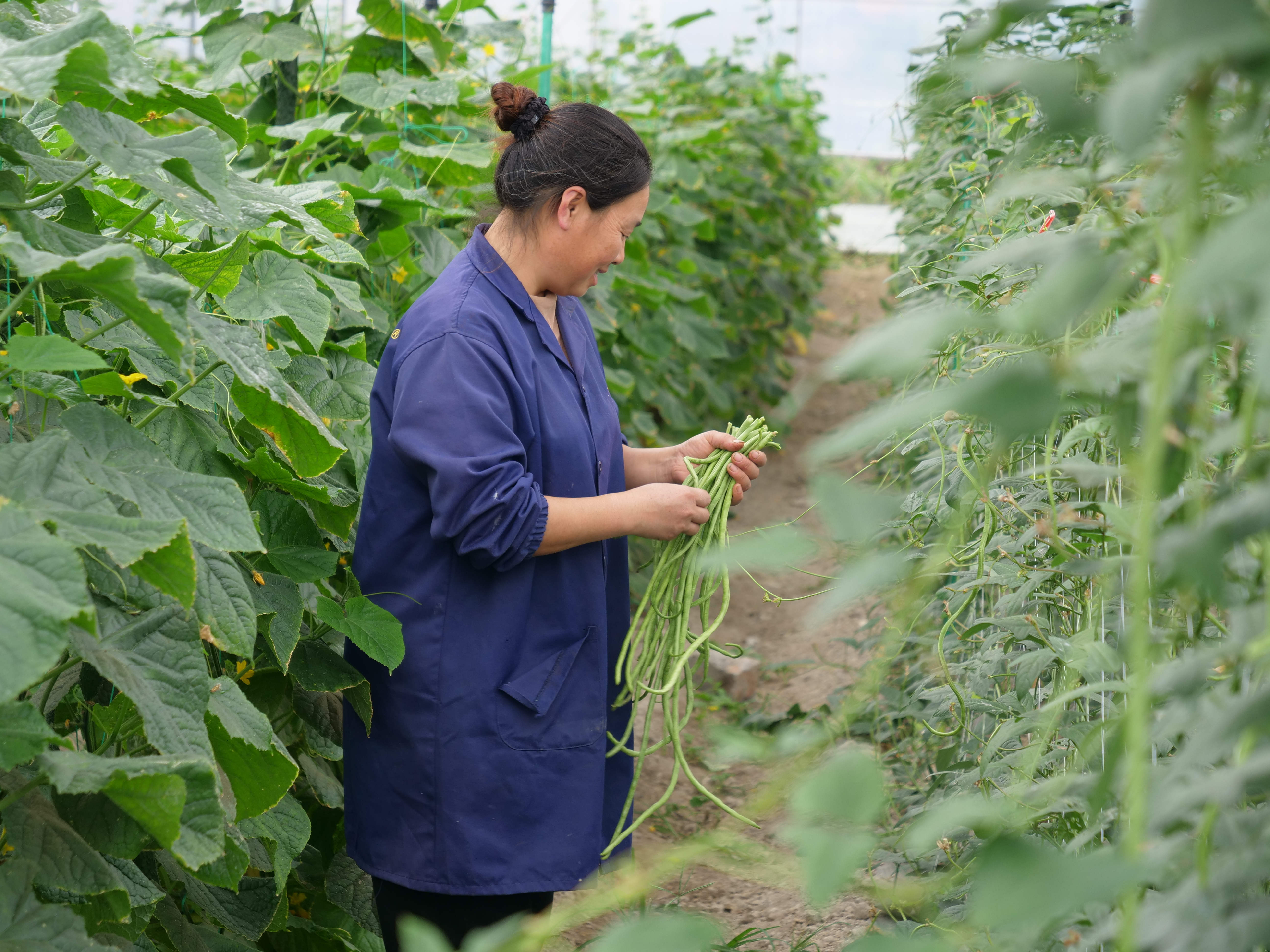 ee27e8b4-e72c-4793-919a-8d2cc7e87a6b.jpg ee27e8b4-e72c-4793-919a-8d2cc7e87a6b.jpg