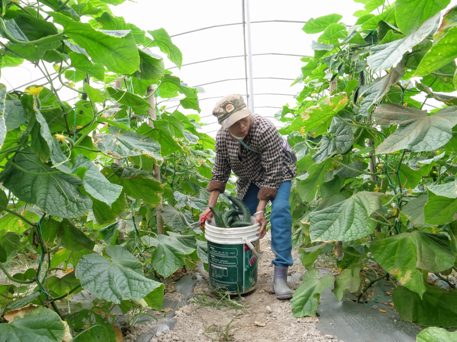 9568841621702017289.jpg 9568841621702017289.jpg