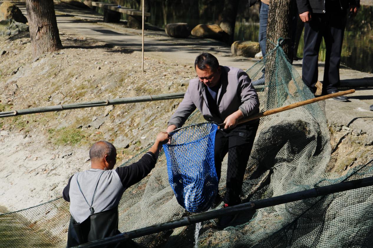 图片1.jpg 图片1.jpg