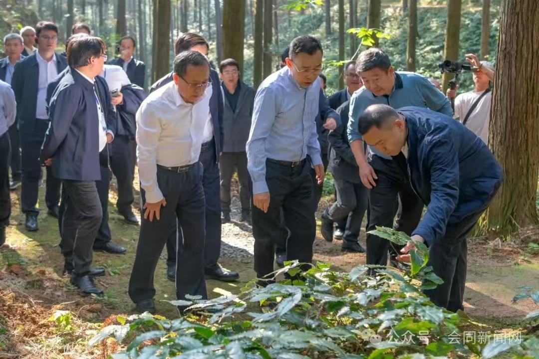 图片6.jpg 图片6.jpg