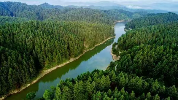 图片2.jpg 图片2.jpg