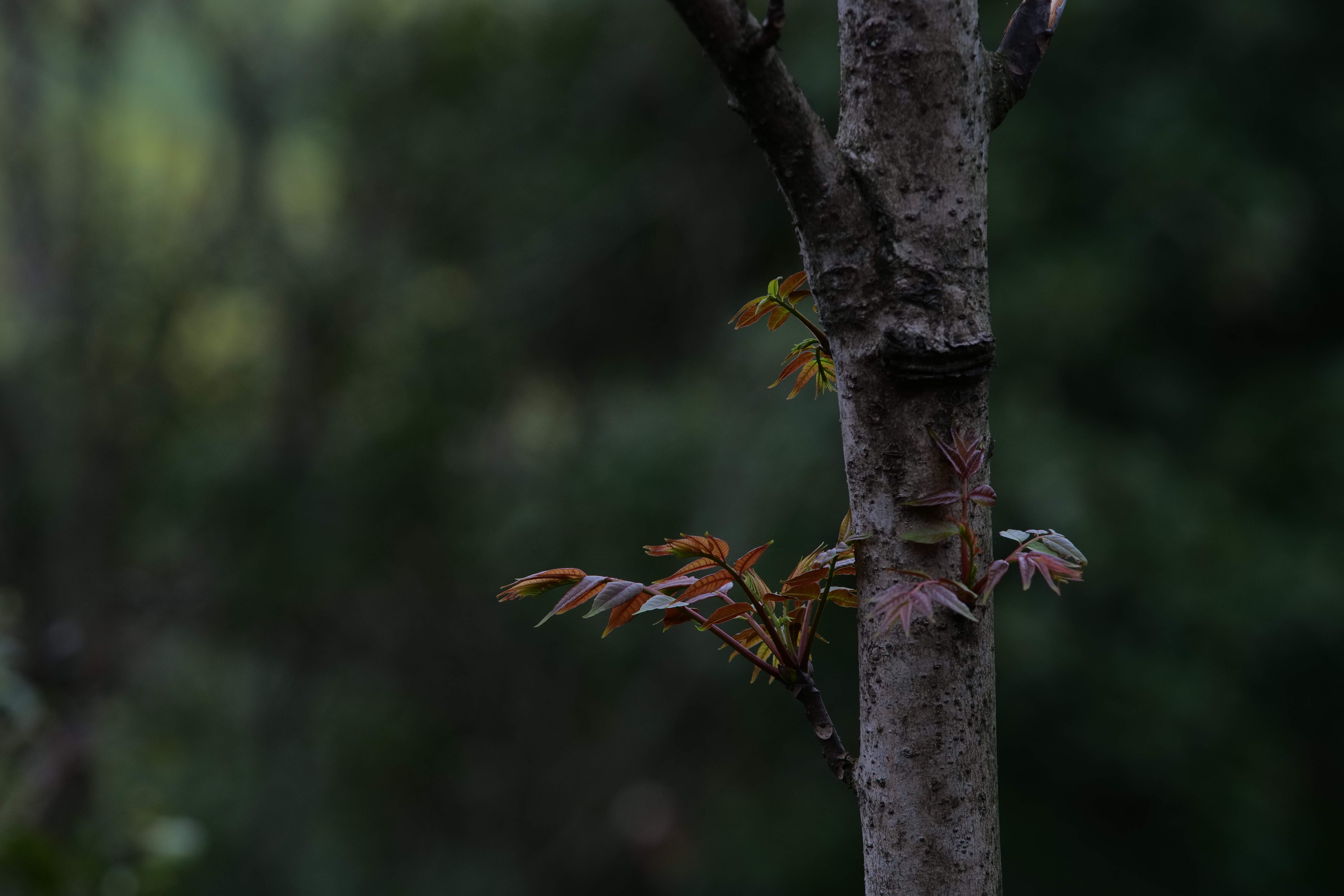 ed75973d5d1a684dc48d256f6803d5f7.jpeg