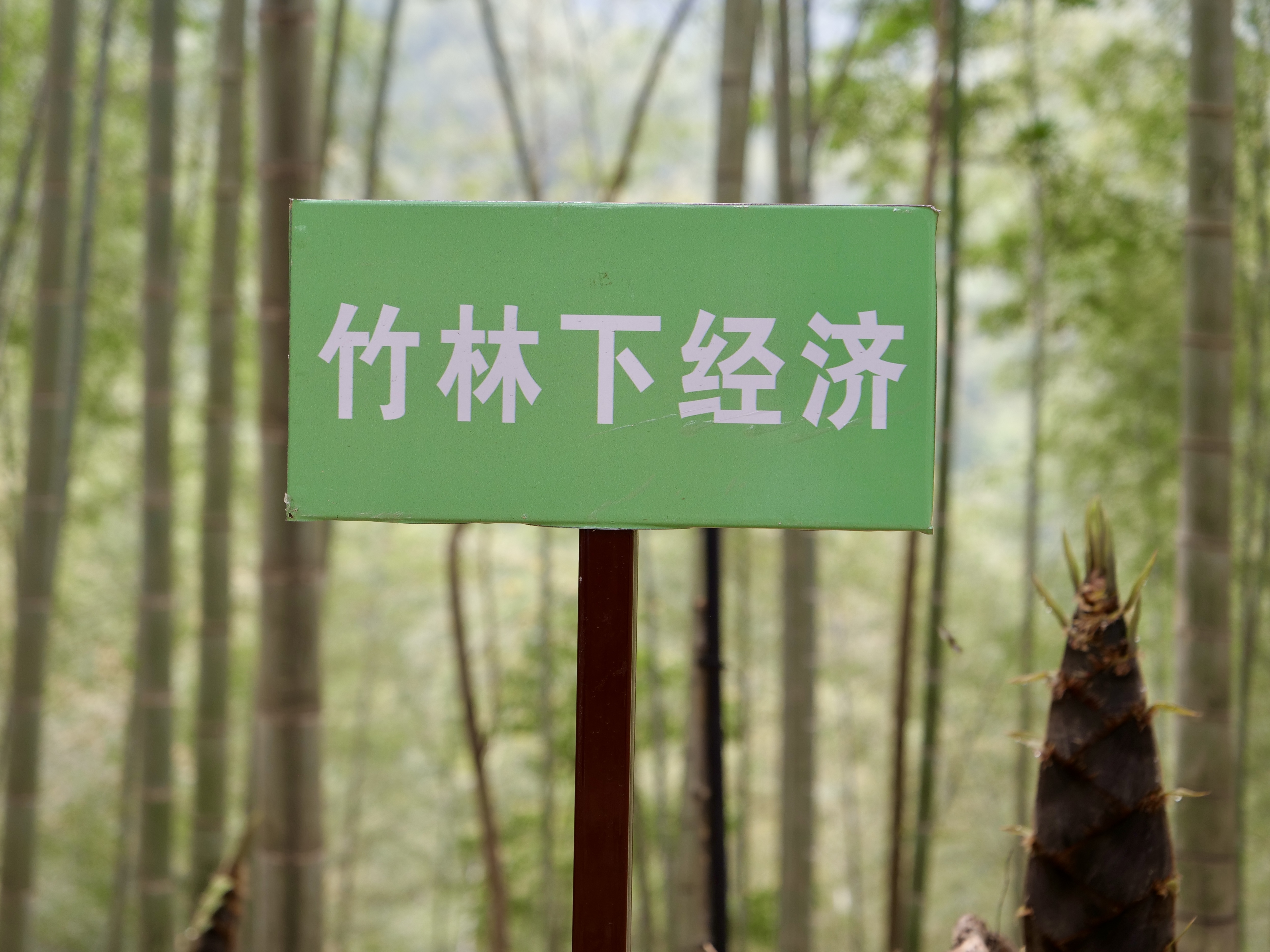 88541fb3-8dfd-4be8-b690-874dd48c3b11.jpg