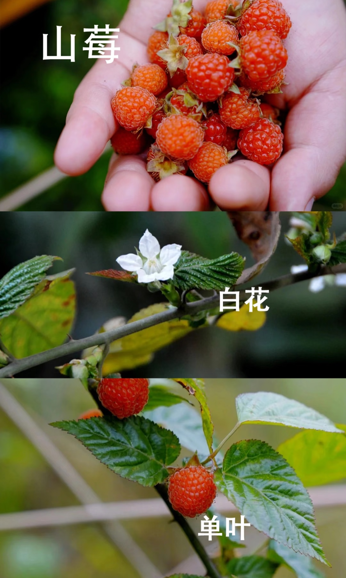a725ecfd-2446-4485-80c3-699bce0a3f86.jpg