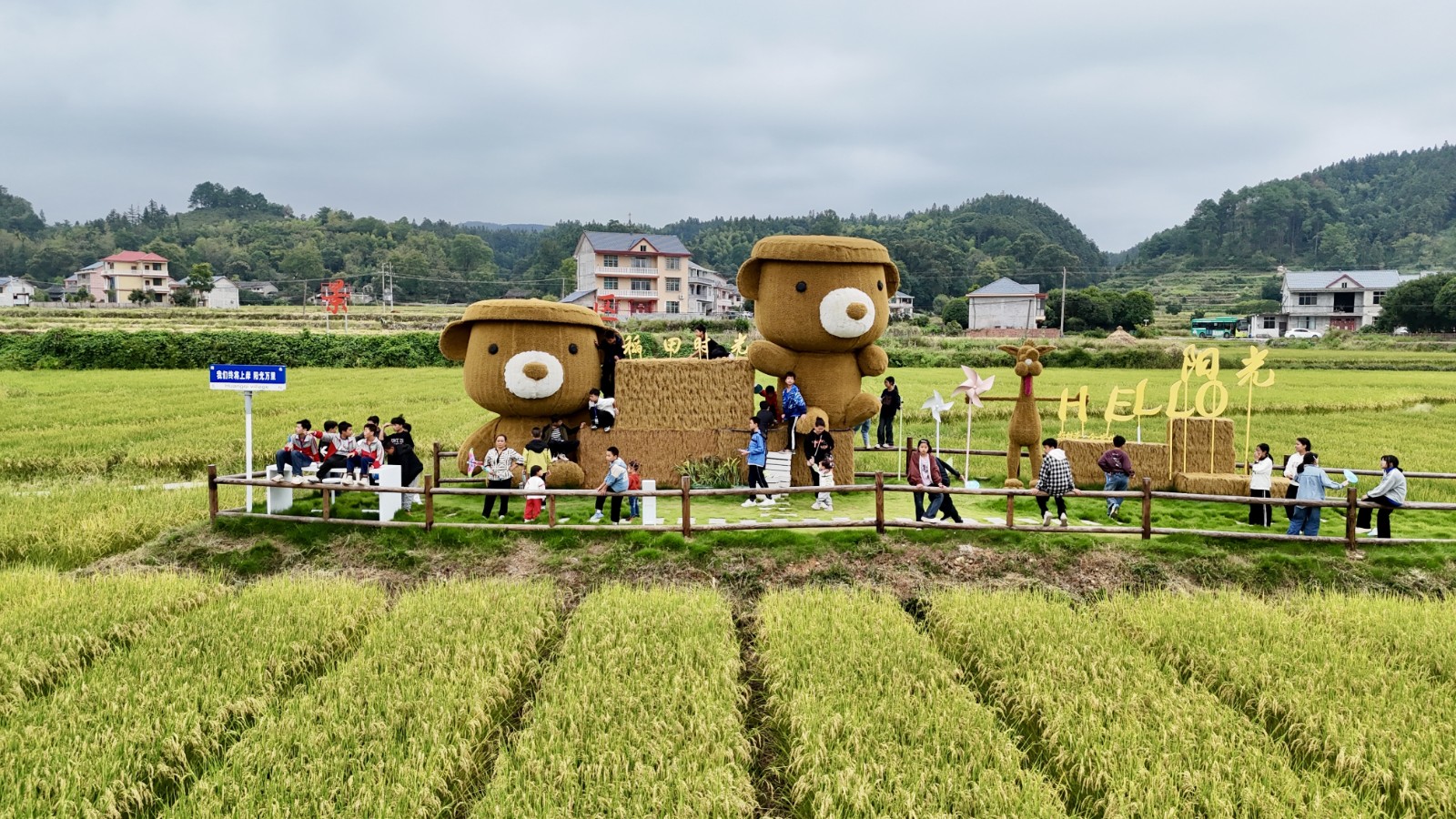 86c8a221-edf7-4018-abb3-688d048c7905.jpg