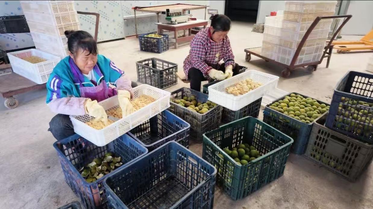 图片3.jpg 图片3.jpg