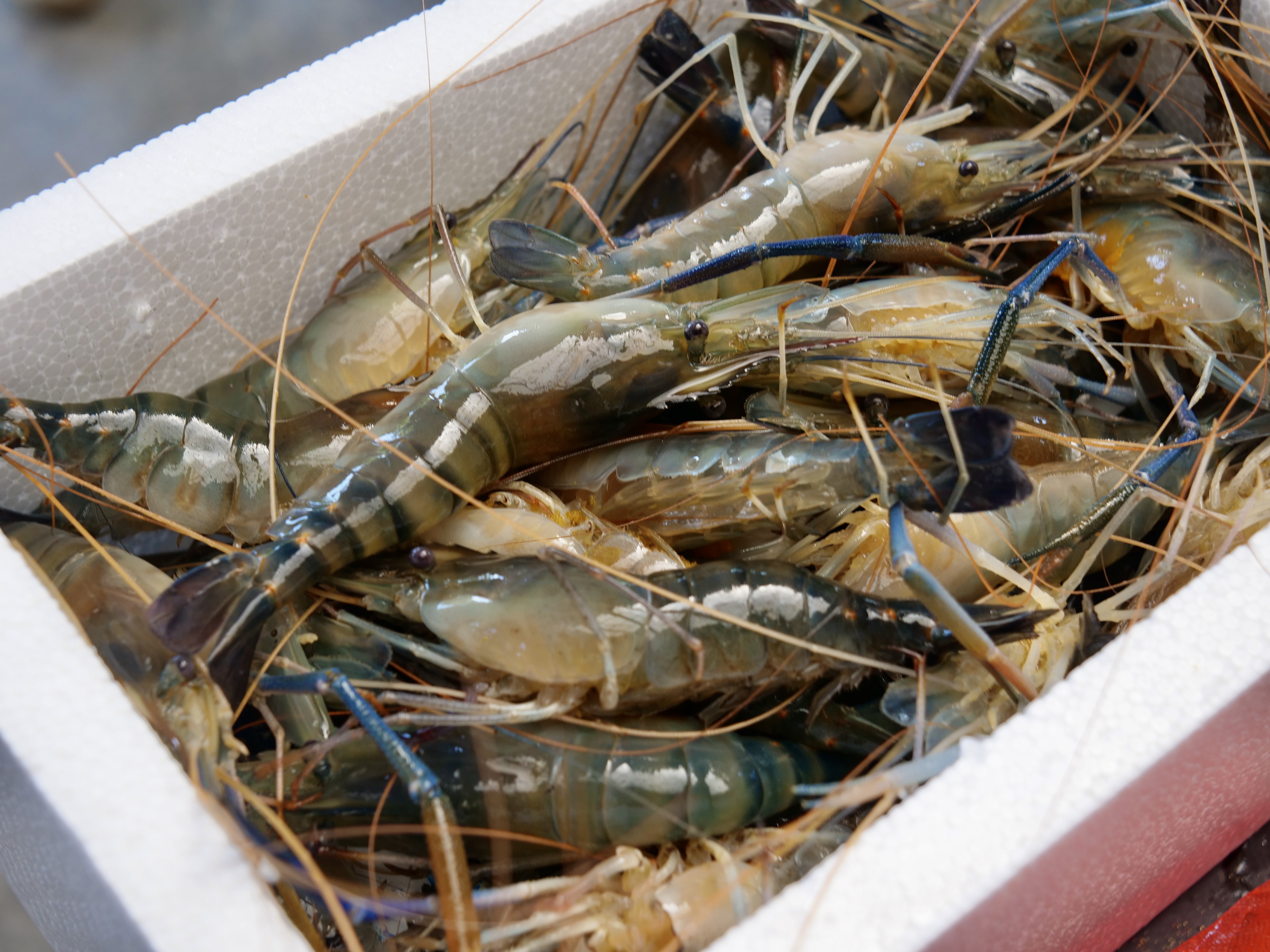 333bf87c4f78aed13adcdb98f9e8ee31.jpg 333bf87c4f78aed13adcdb98f9e8ee31.jpg