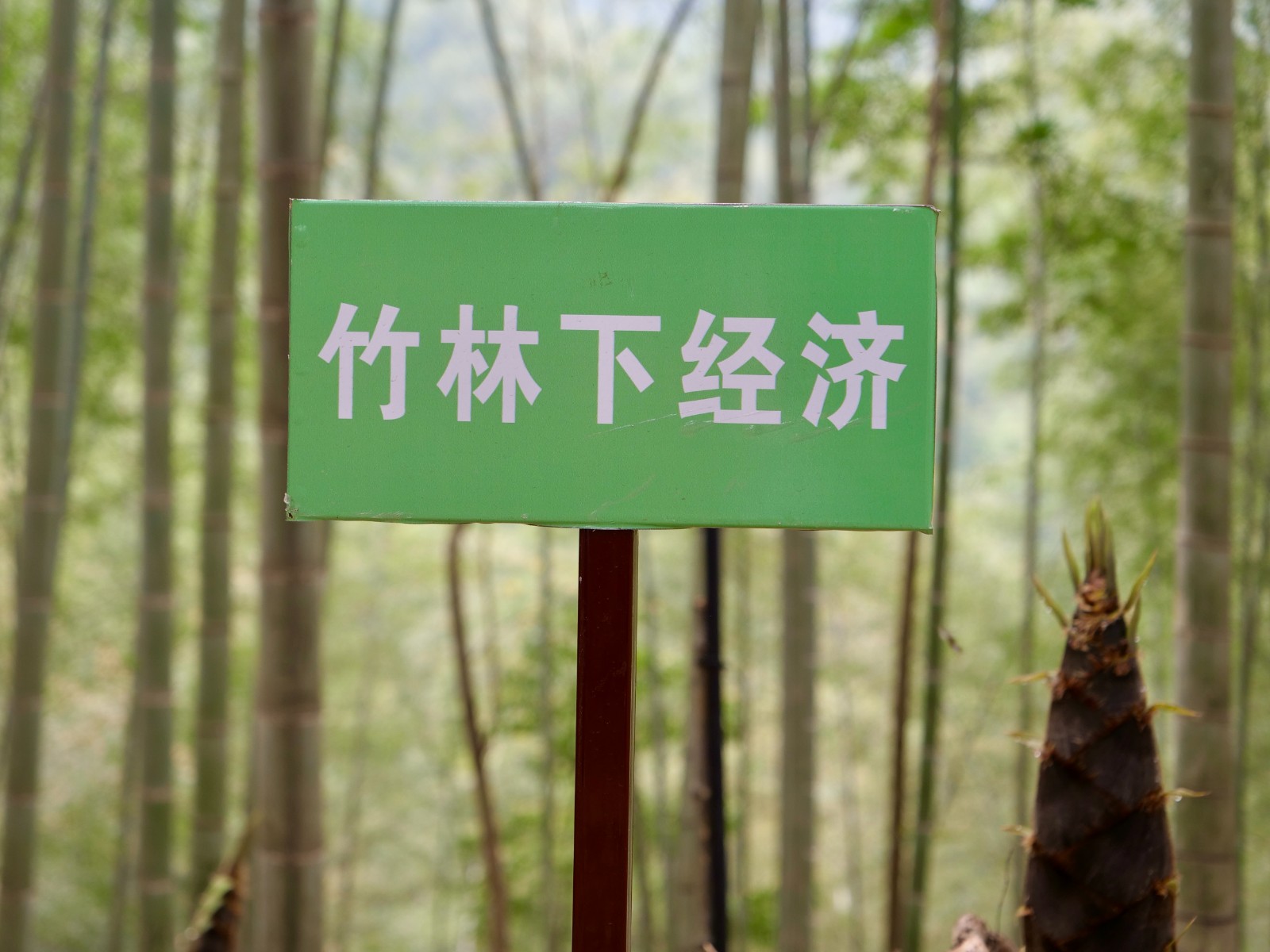 adf9fa3c1f5049ee9574f9f674311be3.jpg
