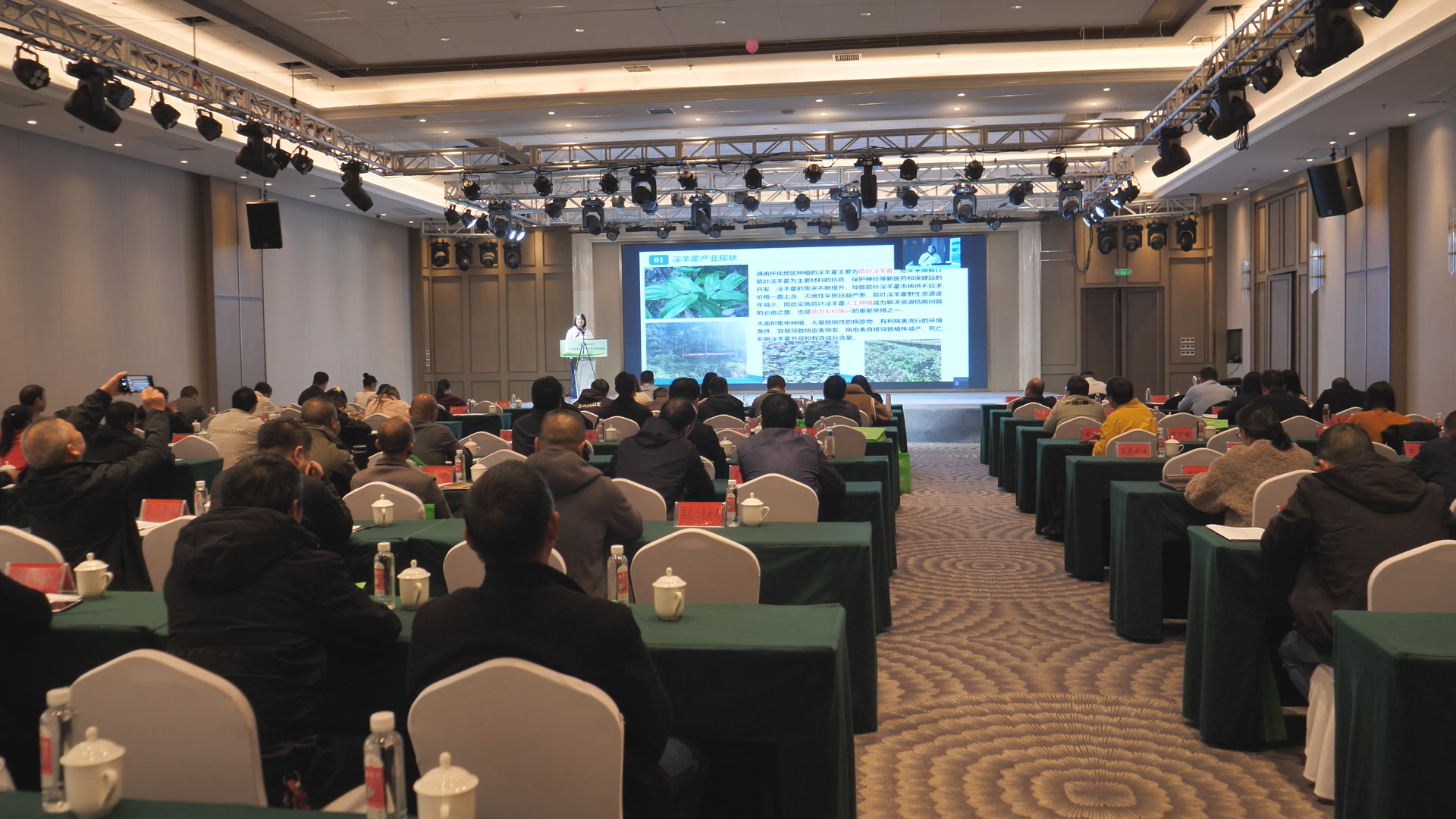 Still1031_00005.png Still1031_00005.png