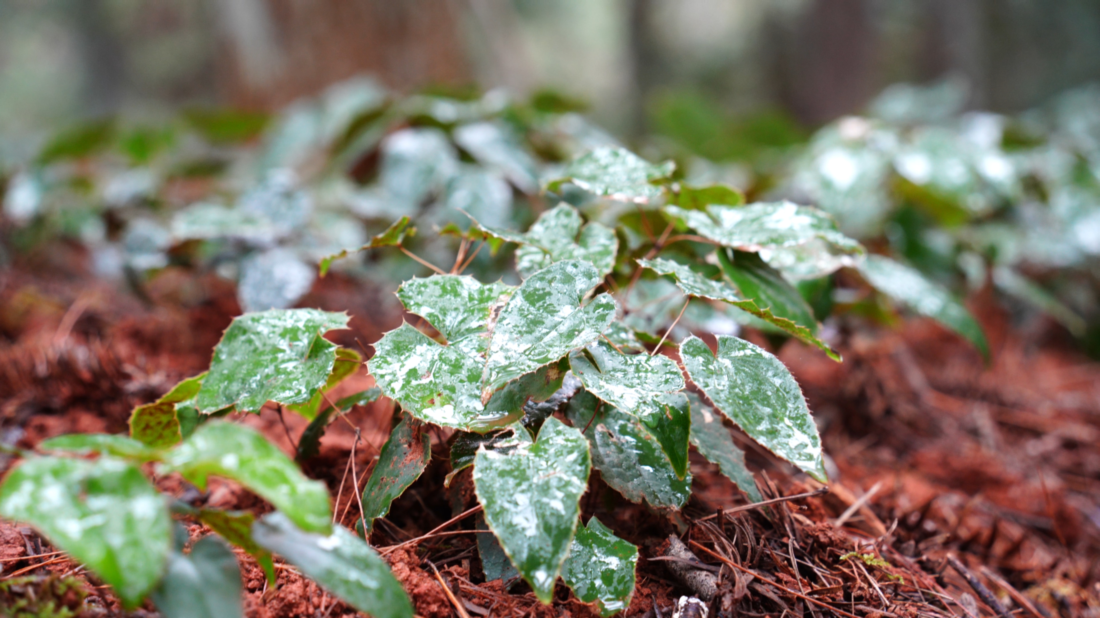 3d3d8e140fb53b1687fddd218a706c00.jpg 3d3d8e140fb53b1687fddd218a706c00.jpg