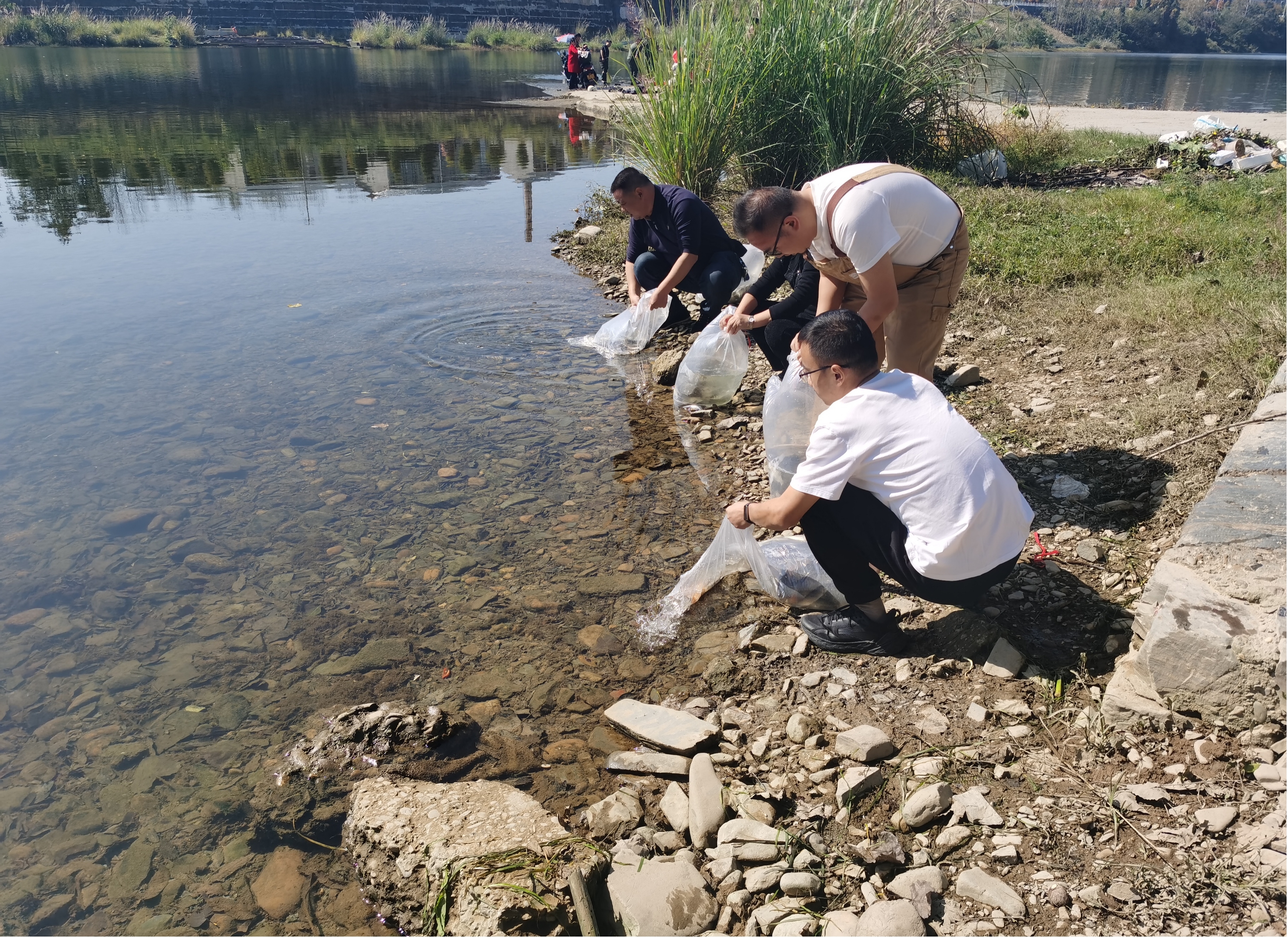 图片1.jpg 图片1.jpg