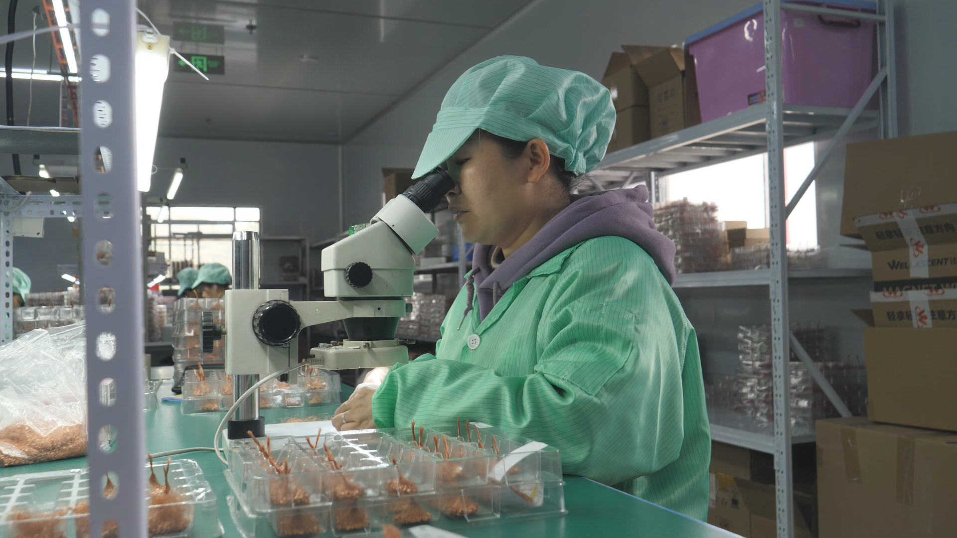 Still1205_00010.png Still1205_00010.png