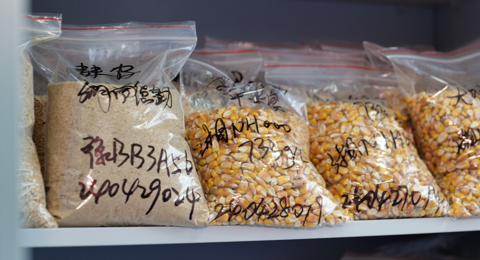 微信图片_20251205105958_63_104.png 微信图片_20251205105958_63_104.png