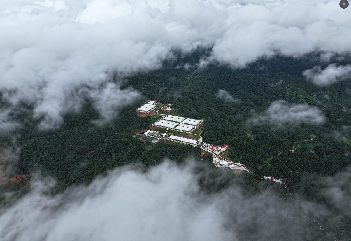 360截图20251205111708983.jpg 360截图20251205111708983.jpg