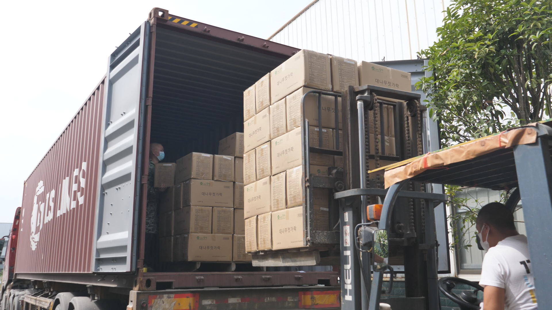 Still1205_00009.png Still1205_00009.png