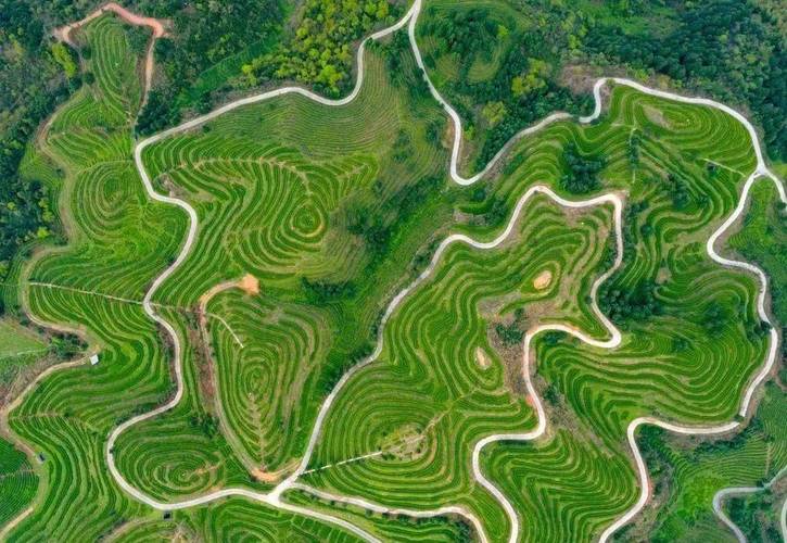 图片5.jpg 图片5.jpg