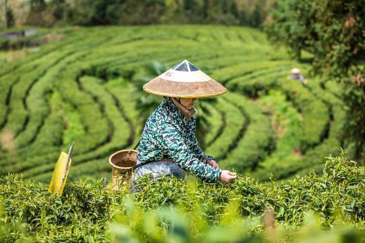 图片6.jpg 图片6.jpg