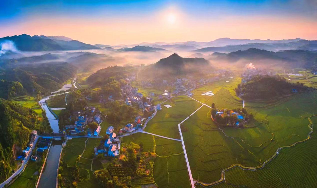 图片8.jpg 图片8.jpg