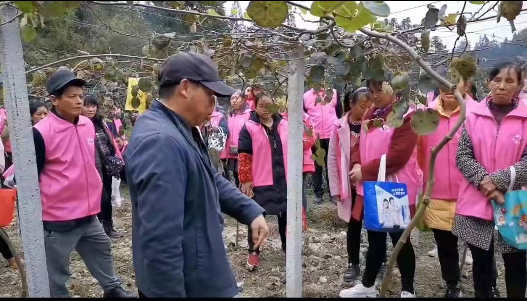 微信图片_20211216101545.jpg