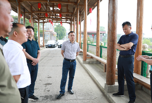 苏振调研“四好农村路”建设及乡镇工作