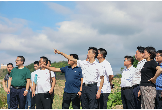 周立志巡查会同河：倾力打造会同靓丽名片