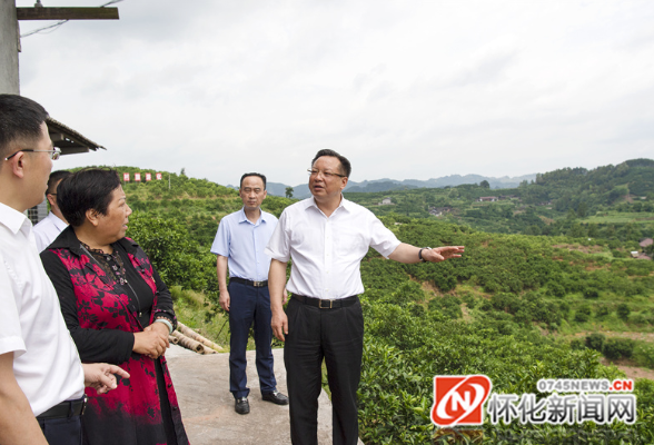 雷绍业在芷江调研：努力打造乡村振兴