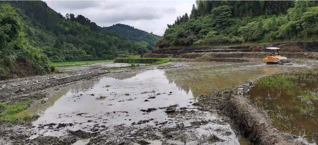 沙溪乡：“四个一”工作法“唤醒”抛荒地