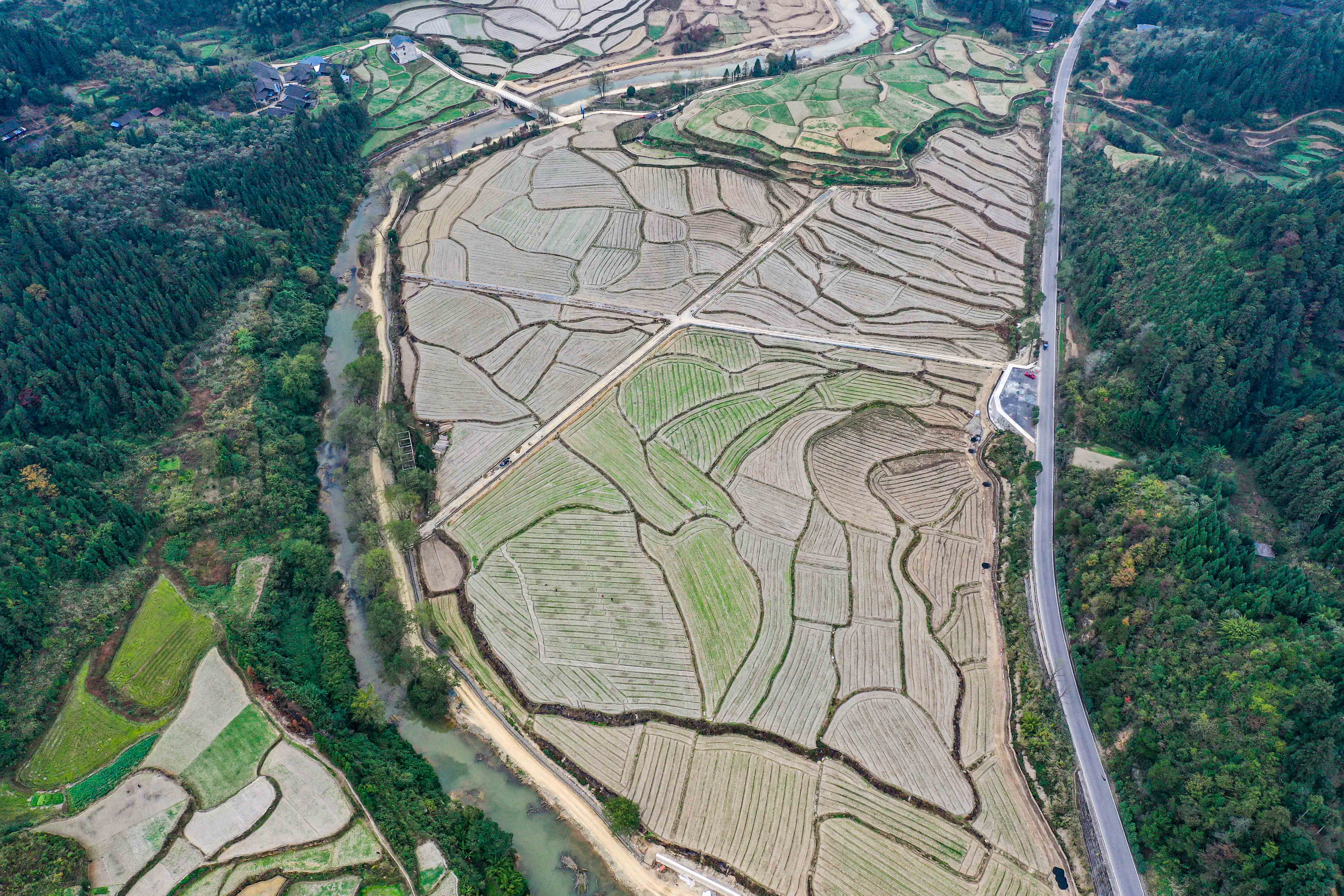 DJI_0335.jpg