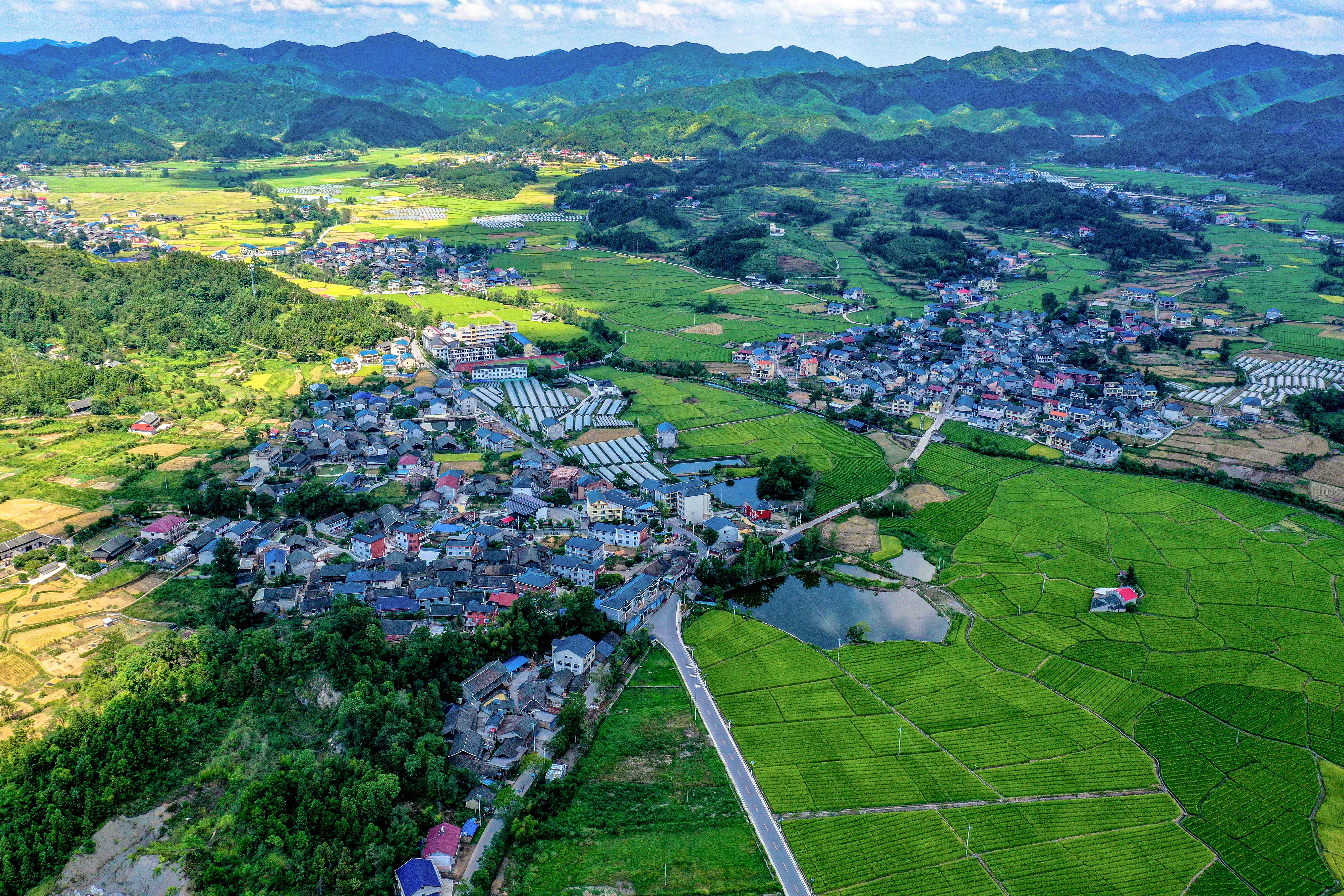 DJI_0210.jpg